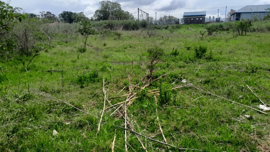 0 Bedroom Property for Sale in Berlin Eastern Cape